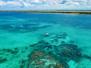 Bacalar Chico 10