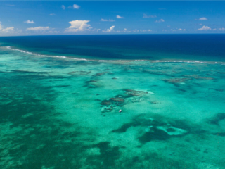 Bacalar Chico 11
