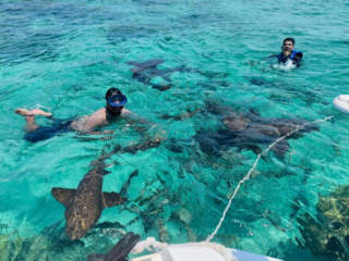 Bacalar Chico 13