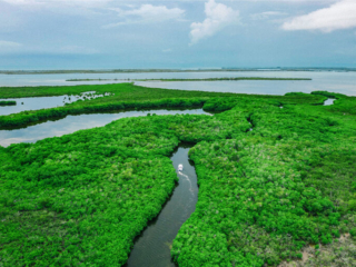 Bacalar Chico 3
