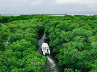 Bacalar Chico 4