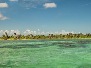 Bacalar Chico 5