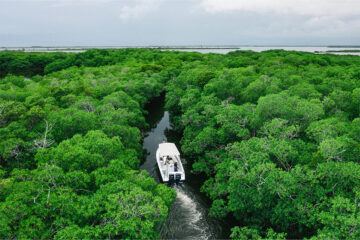 Bacalar Chico, Belize All Inclusive Resort