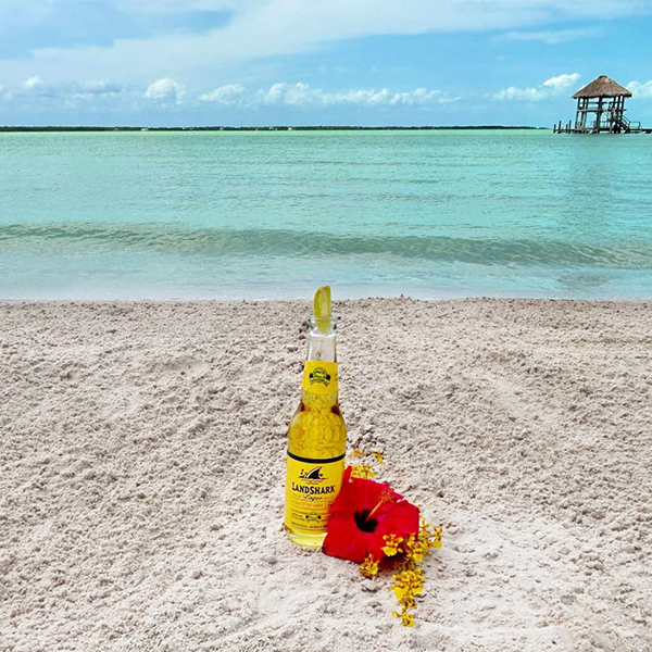 Beer and sand 2