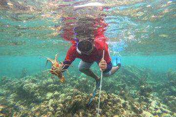 Lobster, Belize All Inclusive Resort