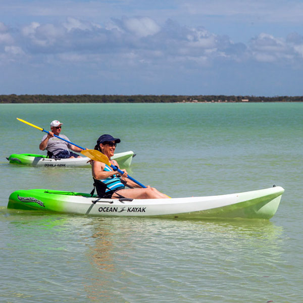 kayaks