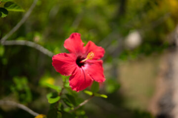 OB-Photo-Gallery-Resort (13)