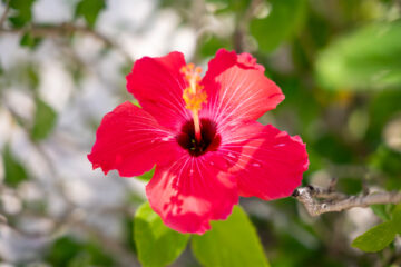 OB-Photo-Gallery-Resort (23)