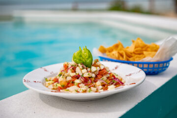 OB-Photo-Gallery-Restaurant (19)